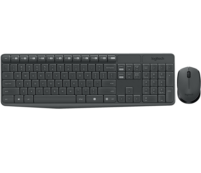 Kit de Teclado y Mouse LOGITECH 920-007901